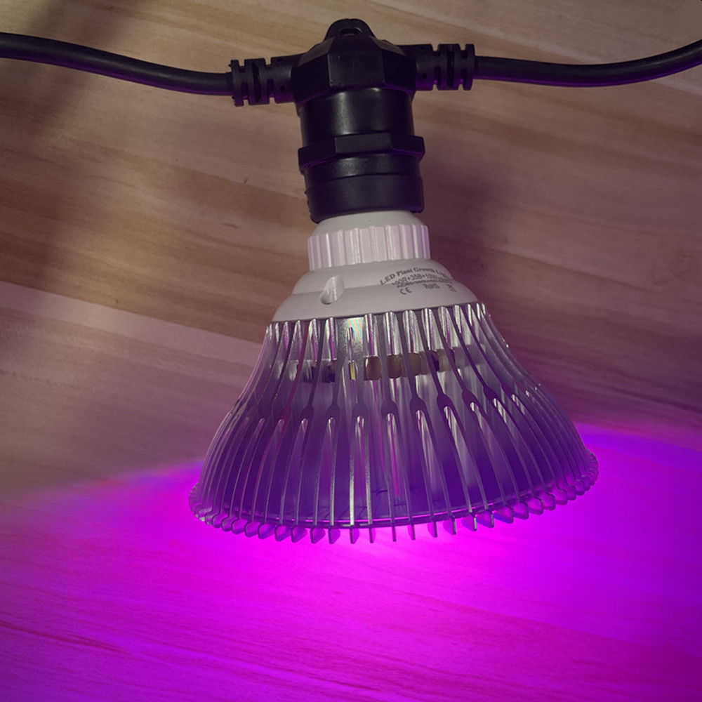 10M Kablo LED Dize Işık Zincir - Outdoor Lighting Effects incelemesi ve fiyatı